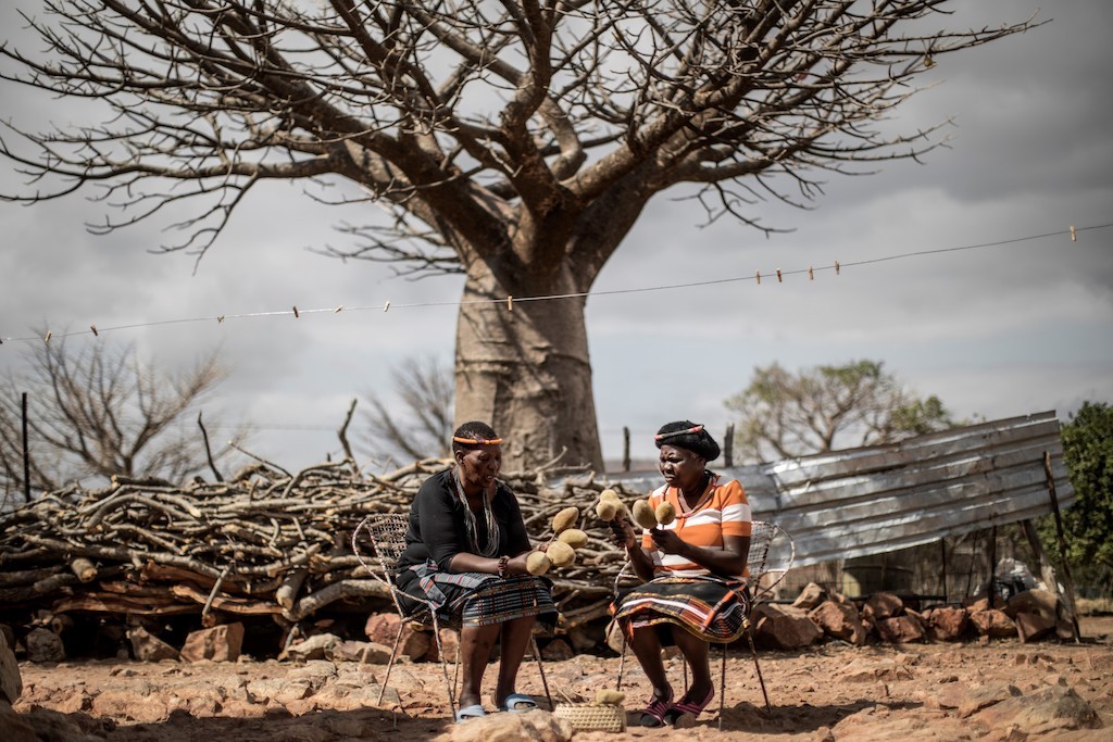 How Can Businesses Tap into the Baobab Value Chain?