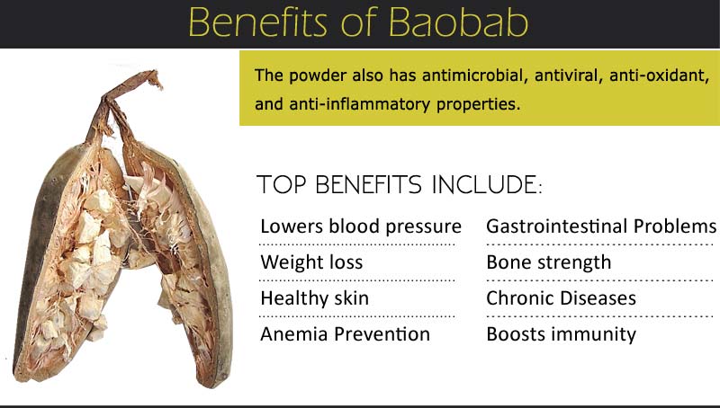 How Does the Baobab Value Chain Benefit Local Economies?