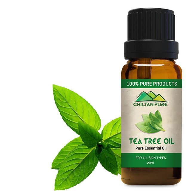 Tea Tree Oil Review