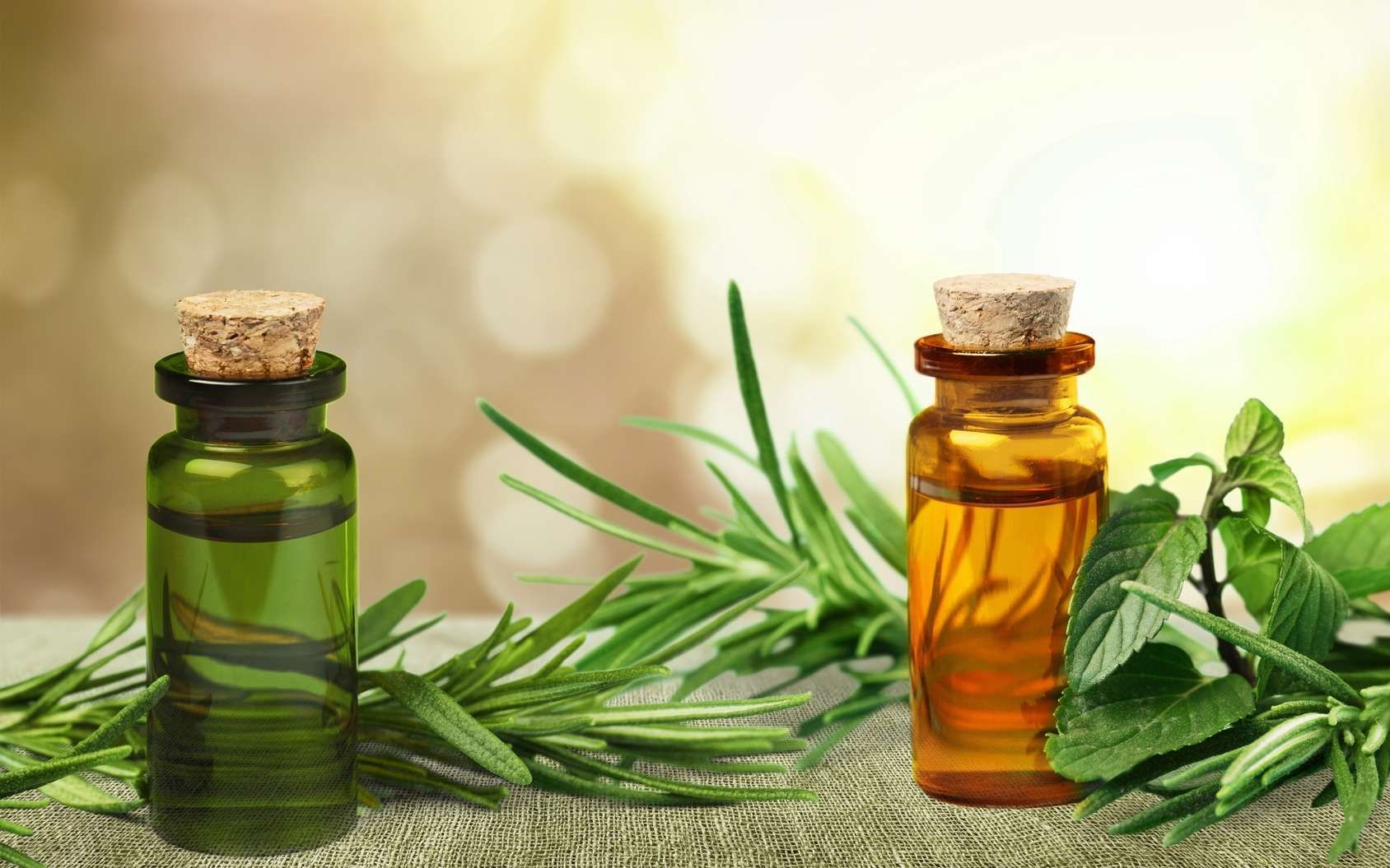 Tea Tree Oil