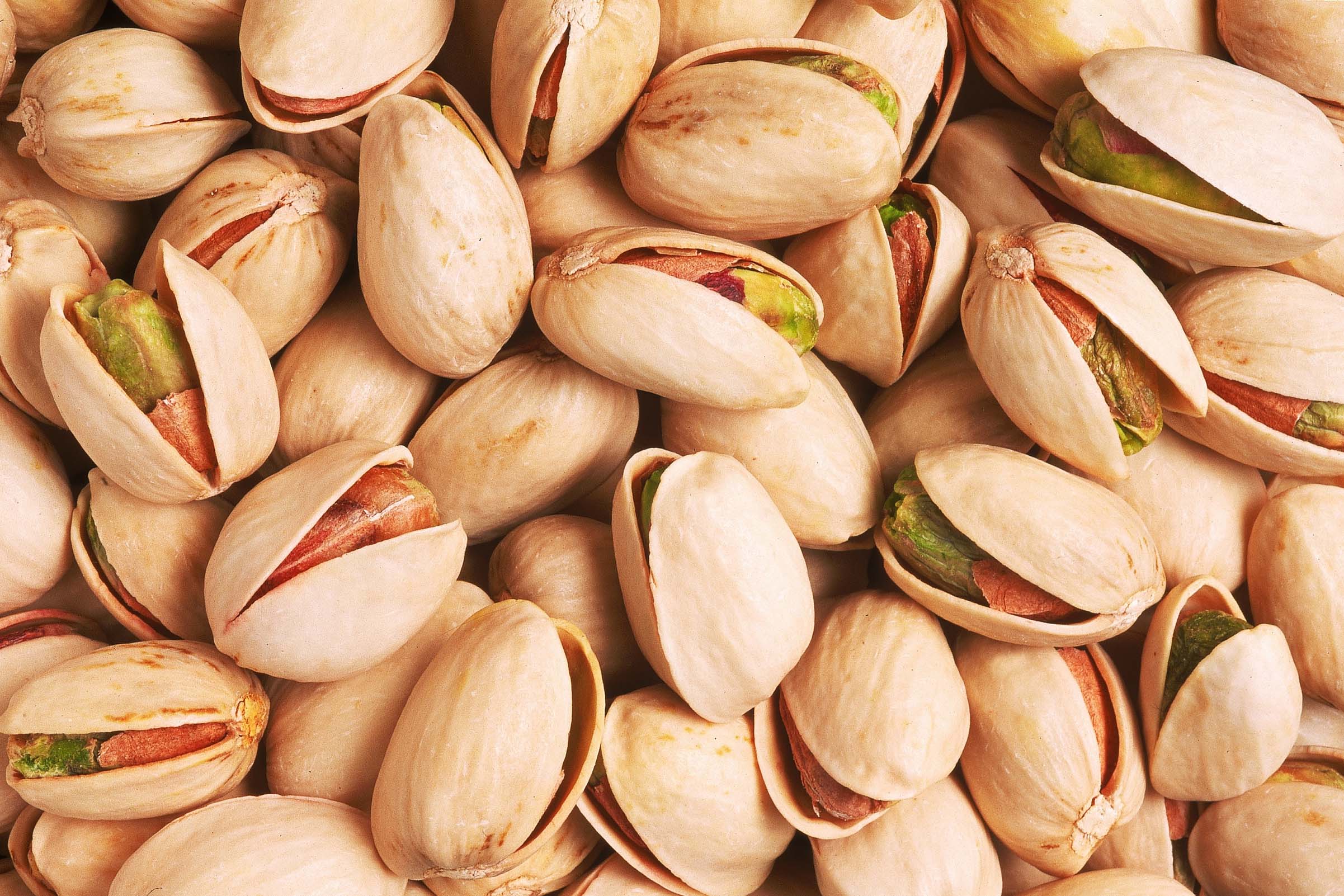 The Pistachio Tree: