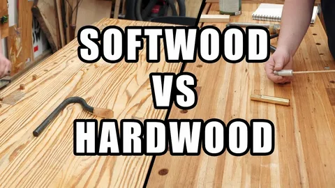 Hardwood vs. Softwood: Understanding the Differences and Choosing the Right Wood for Your Project