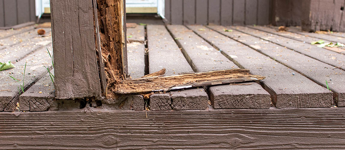 How Can You Prevent Wood from Rotting?