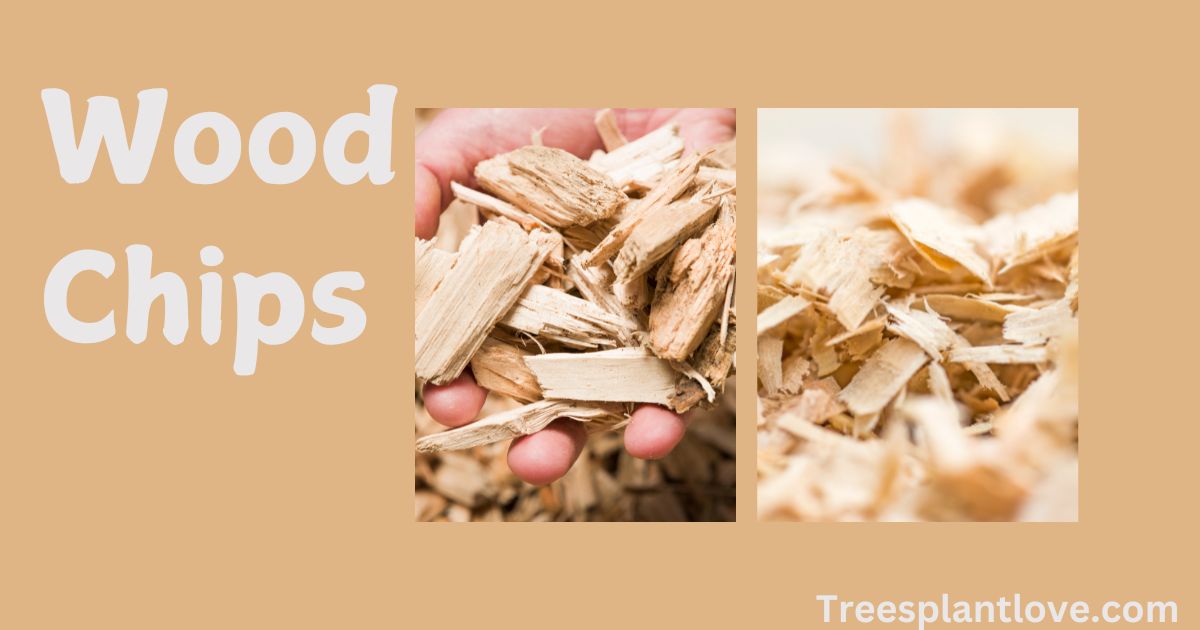 Wood Chips