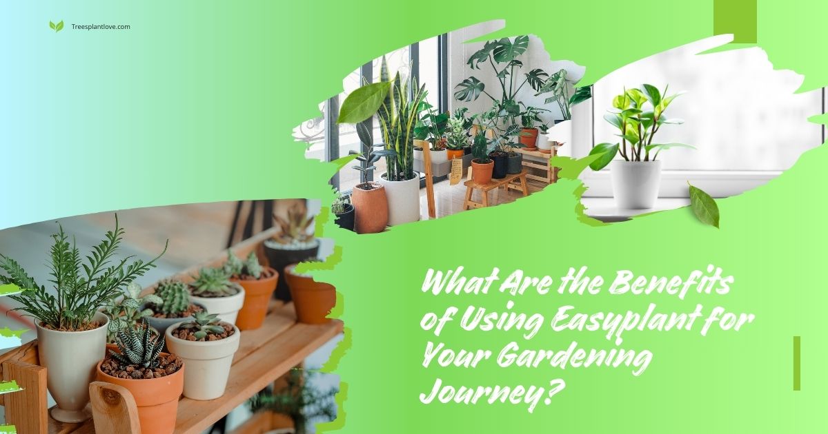 What Are the Benefits of Using Easyplant for Your Gardening Journey? Find Out Here!