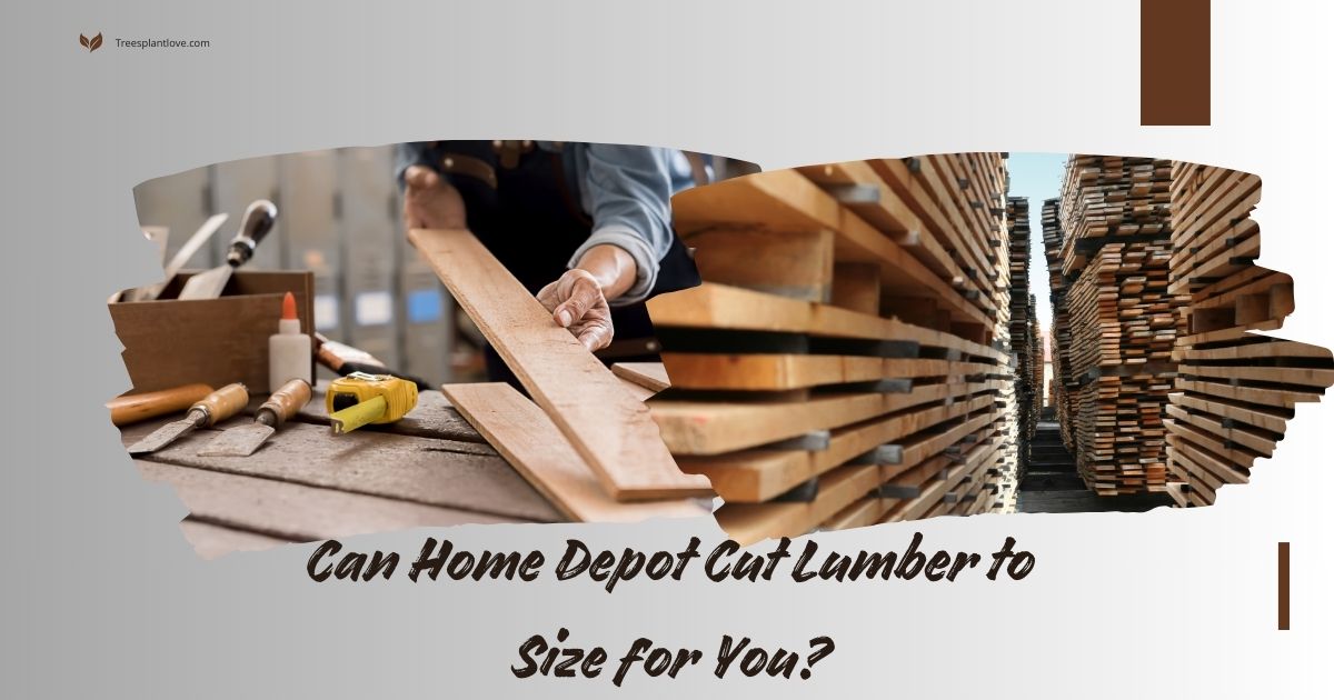 Can Home Depot Cut Lumber to Size for You?