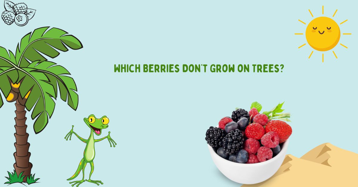 Which Berries Don’t Grow on Trees?