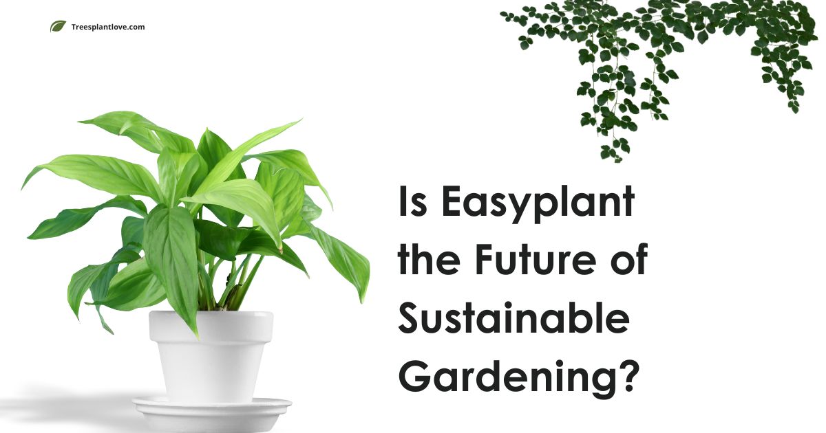 Is Easyplant the Future of Sustainable Gardening?