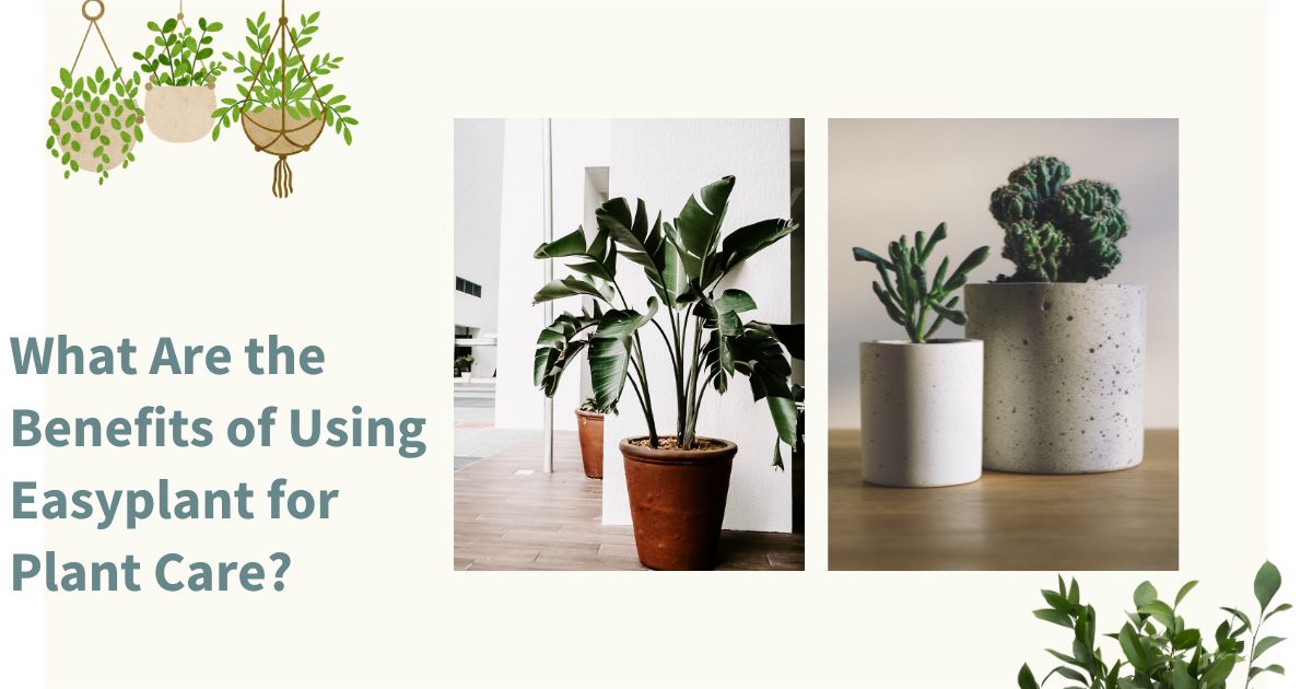 What Are the Benefits of Using Easyplant for Plant Care?