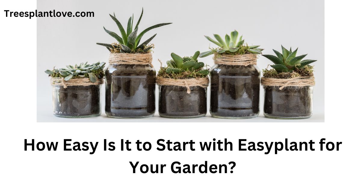 How Easy Is It to Start with Easyplant for Your Garden?