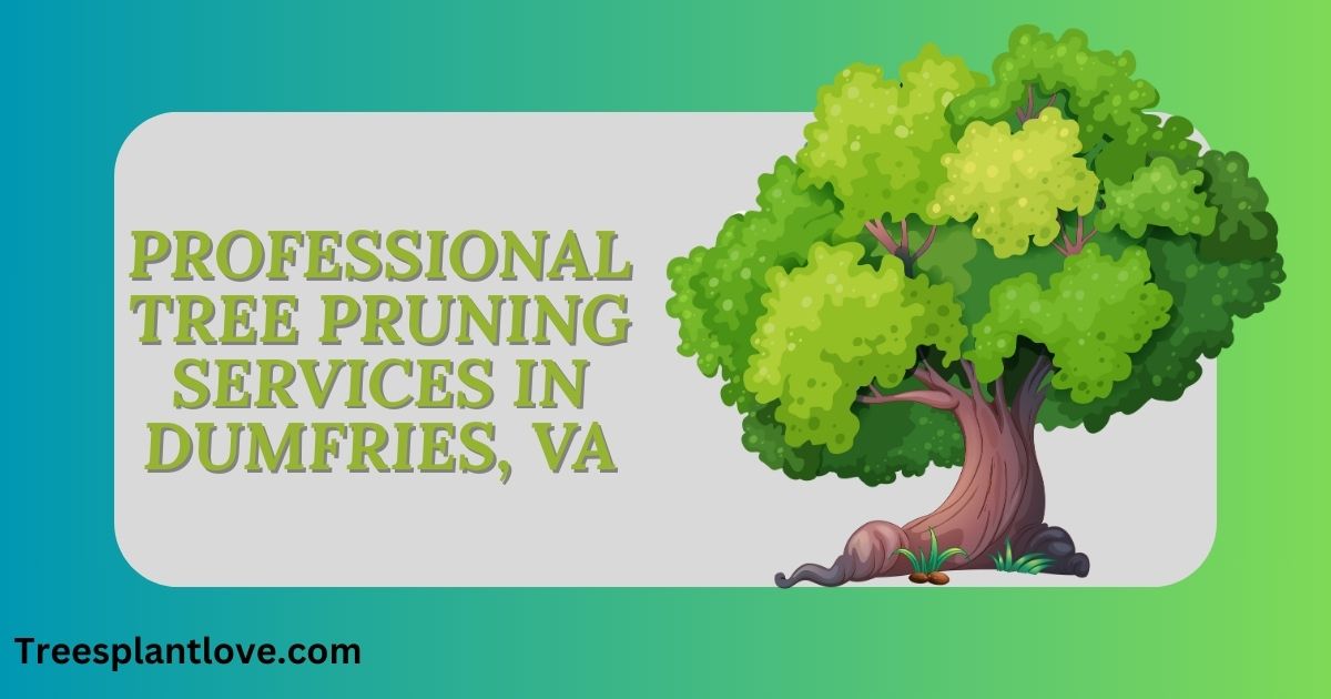 Professional Tree Pruning Services in Dumfries, VA