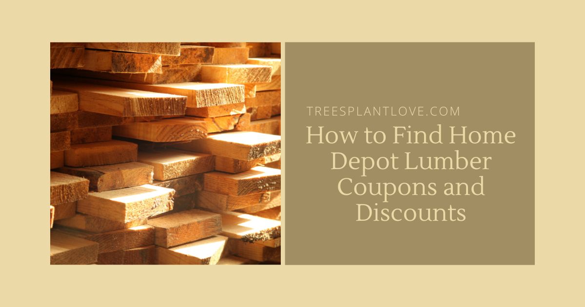 How to Find Home Depot Lumber Coupons and Discounts