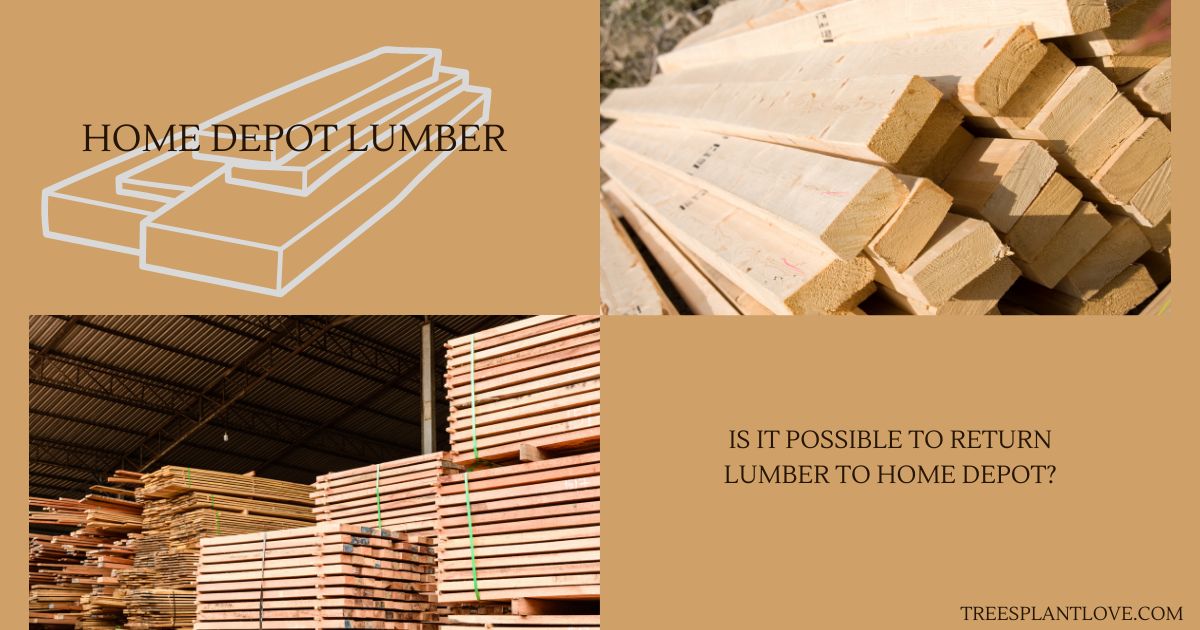 Is It Possible to Return Lumber to Home Depot?