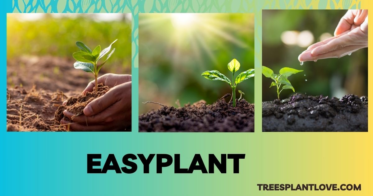 EasyPlant: The Smart Solution for Effortless Indoor Plant Care