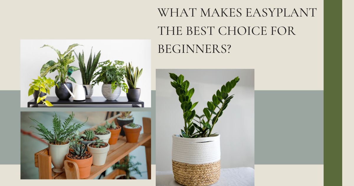 What Makes EasyPlant the Best Choice for Beginners? Easy Plant Care Solutions