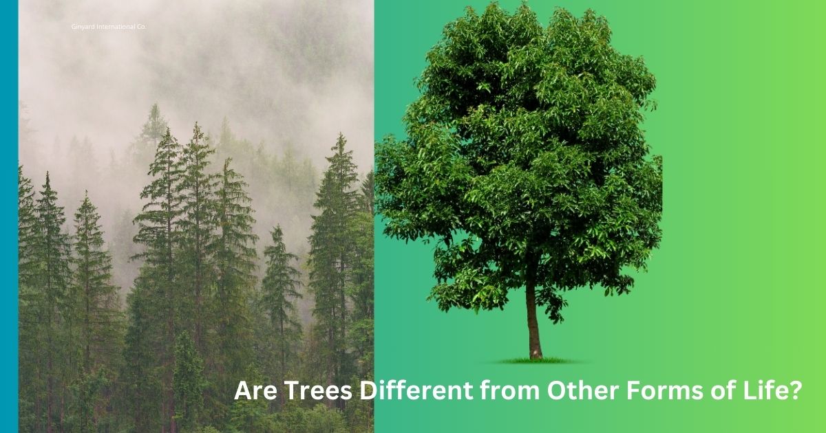 Are Trees Different from Other Forms of Life?