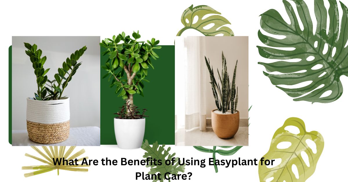 What Are the Benefits of Using Easyplant for Plant Care?