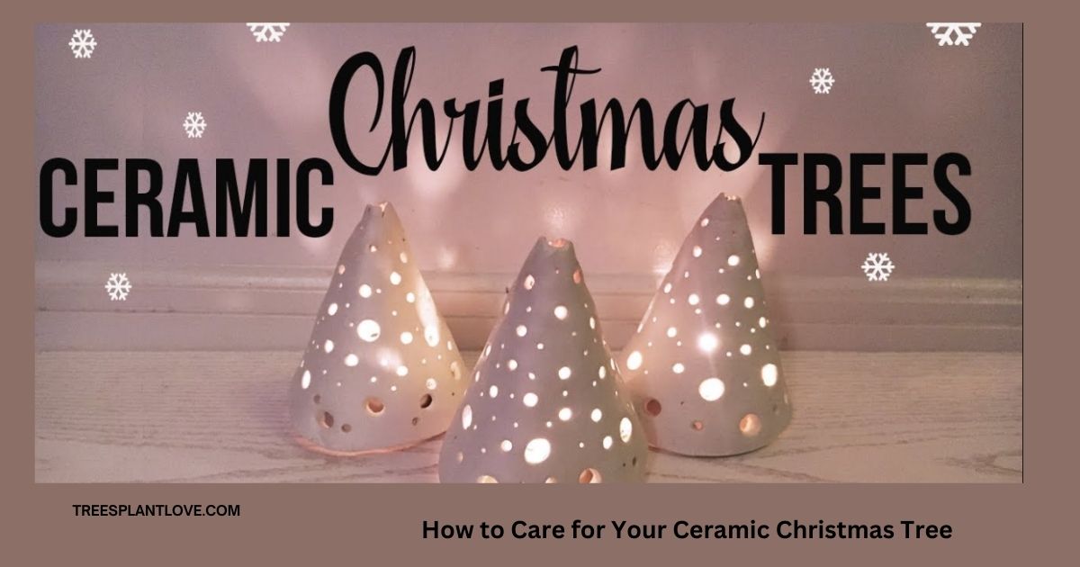 How to Care for Your Ceramic Christmas Tree