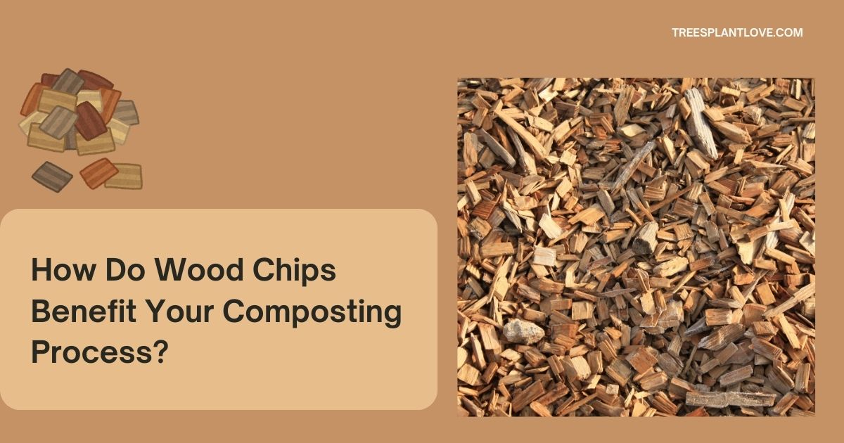 How Do Wood Chips Benefit Your Composting Process?